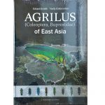 Kniha Agrilus of East Asia
