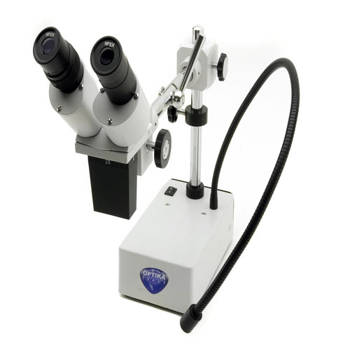 Optický mikroskop binokulárny.